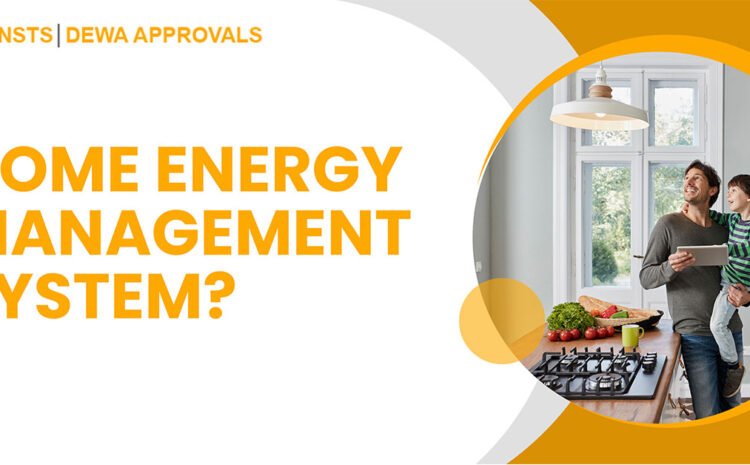  What is a Home energy management system?
